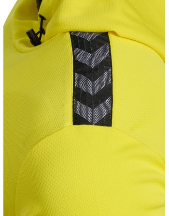 hmlAUTHENTIC PL HOODIE