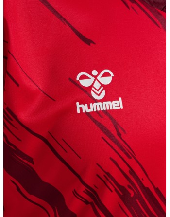 hmlMATCH TRIUMPH JERSEY S/S