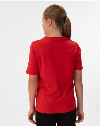 T-Shirt Base / Single-Jersey